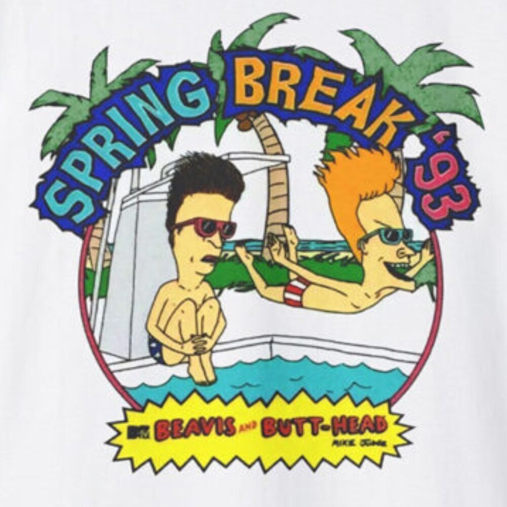Beavis And Butt-Head T-Shirt Vintage 1993 Spring Break Cartoon Retro 73 - Picture 2 of 5